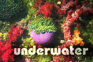 Underwater